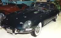 jaguar1-tn.jpg (6915 bytes)